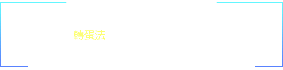 公會資訊介紹